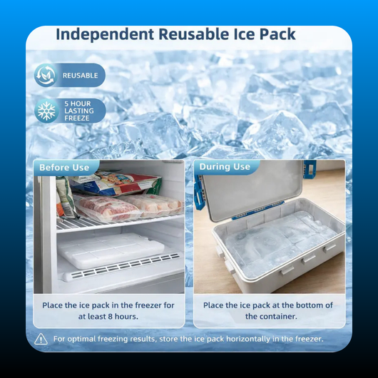 Chilled Portable Snackle Box Container with Reusable Ice Pack