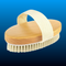 Dry Brushing Body Brush