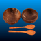 Coconut Bowls Set with Wooden Spoons (12 PCS)