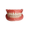 1x Natrsmile™