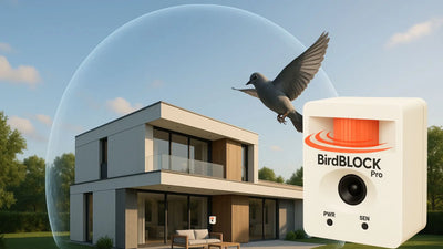 Rid Birds