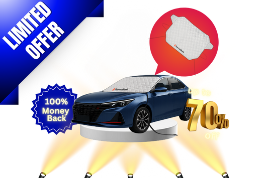 ThermaBlade Car Shield