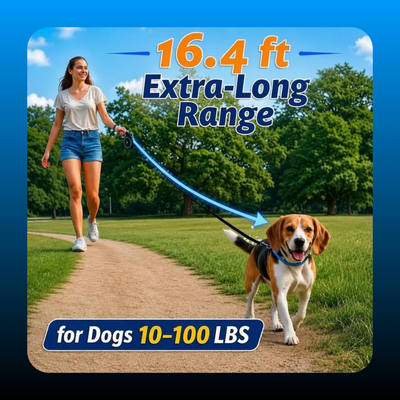 Automatic Retractable Dog Leash