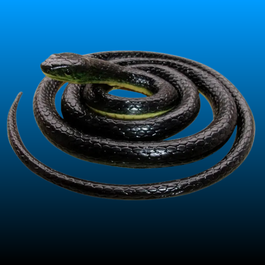 Realistic Artificial Imitation Rubber Black Mamba Snake