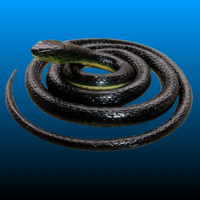 Realistic Artificial Imitation Rubber Black Mamba Snake