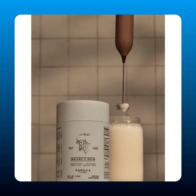 Double Whisk Milk Frother