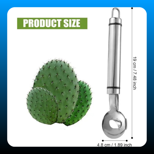 2 PCS Cactus Peeler Spoon