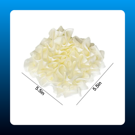 2-in-1 Loofah with Soap Saver (2 Pack)