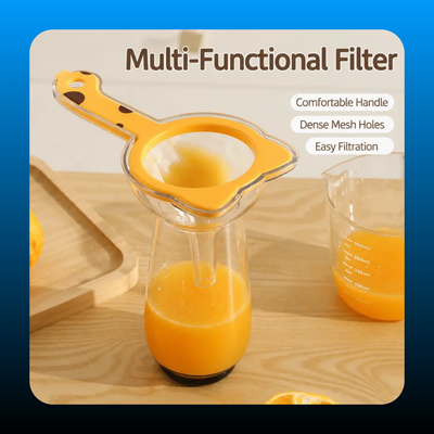Mesh Strainer with Funnel