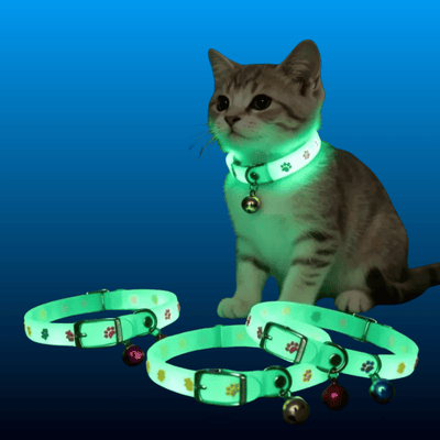 Glow-in-the-Dark Pet Collars (2 Pack)