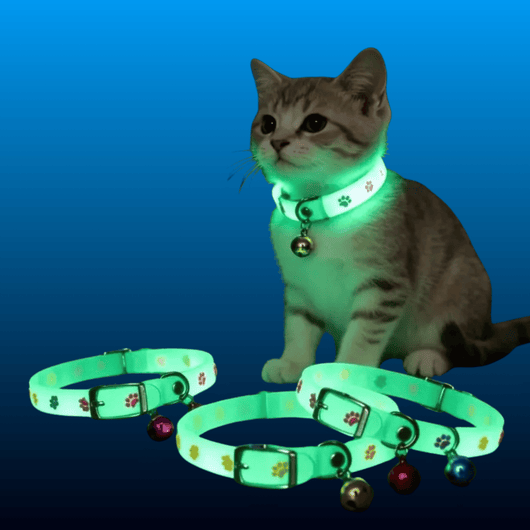Glow-in-the-Dark Pet Collars (2 Pack)