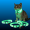 Glow-in-the-Dark Pet Collars (2 Pack)