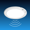 Rechargeable Motion Sensor Ceiling Light with Remote