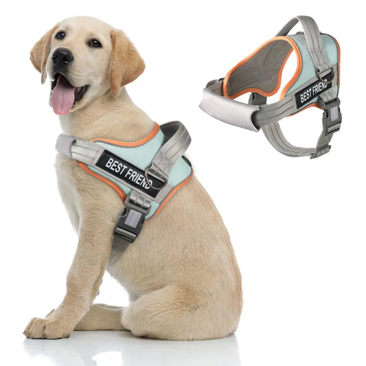 LifeGuard No-Pull Dog Harness