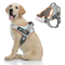 LifeGuard No-Pull Dog Harness