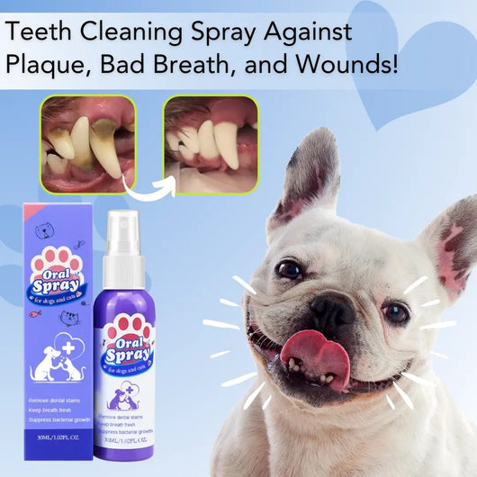 BarkBright Plaque Remover