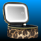 Small Makeup Bag Travel Train Case with Mirror and Light