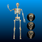 Animated Giant Skeleton with Light Up Eyes