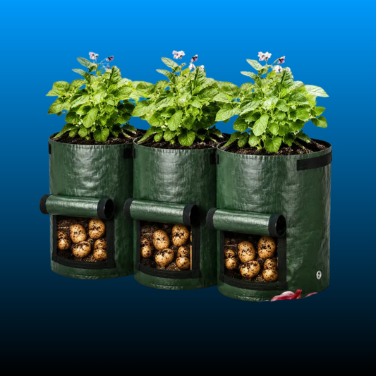 10 Gallon – Durable Garden Grow Bags (3 Pack)