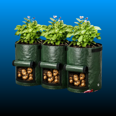 10 Gallon – Durable Garden Grow Bags (3 Pack)