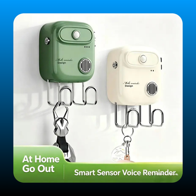 Smart Voice Home Reminder Device