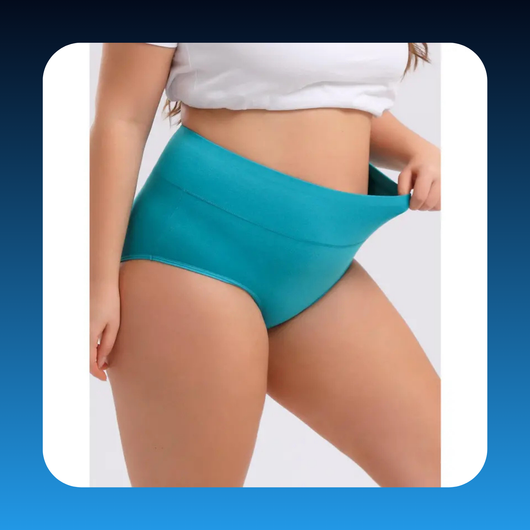 Women's Plus Size High Waisted Underwear (4-Pack)