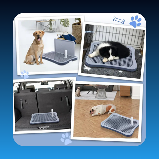 Dog Pee Pad Holder