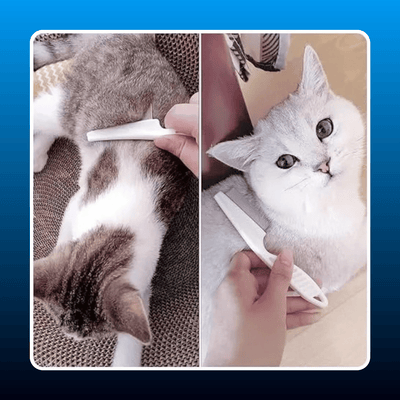 Multifunctional Pet Comb (2 Pack)