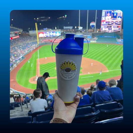 Sunflower Seed Snack Cup