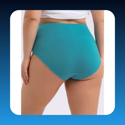 Women's Plus Size High Waisted Underwear (4-Pack)