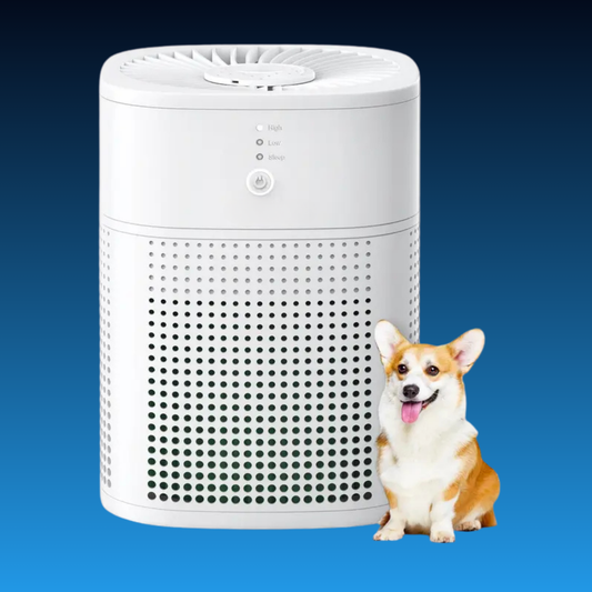 Portable Room Air Purifier