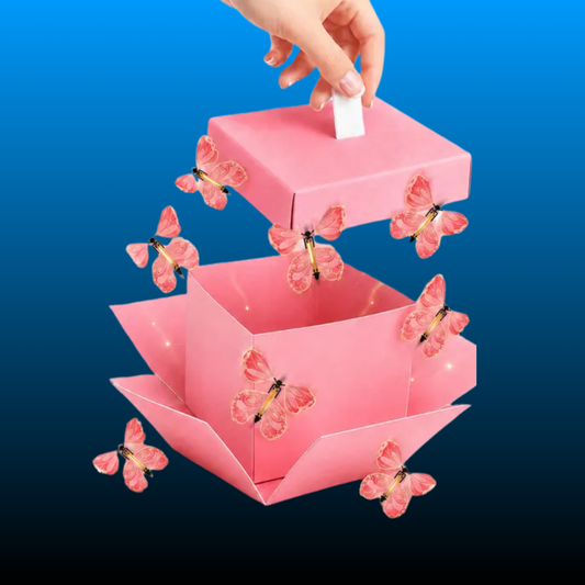 Butterfly-Themed Surprise Gift Box