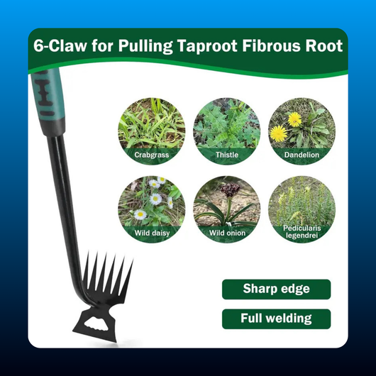 6-Tooth Weed Puller Hoe