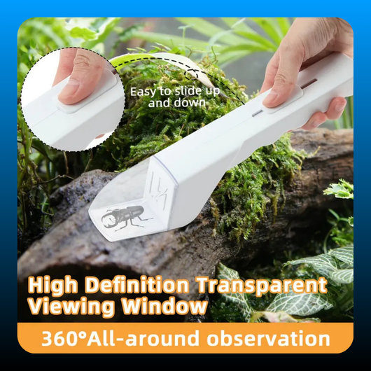 Portable Insect Catcher
