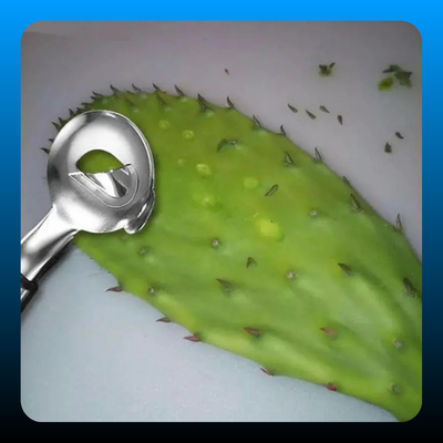 2 PCS Cactus Peeler Spoon