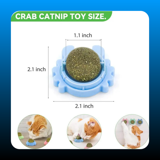 Wall Catnip Roller (3 Pack)