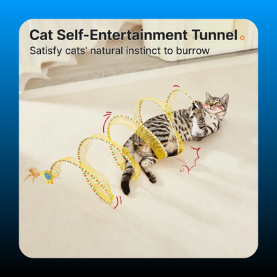 Spiral Tunnel Cat Toy