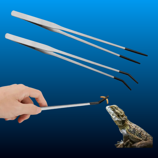 Stainless Steel Reptile Feeding Tongs