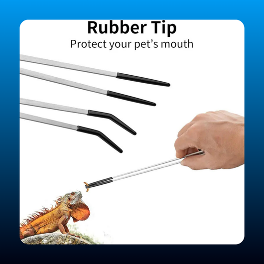 Stainless Steel Reptile Feeding Tongs