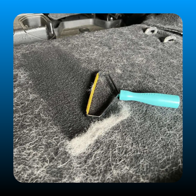 Pet Hair Remover Scalper