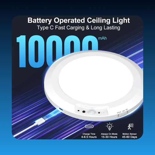 Rechargeable Motion Sensor Ceiling Light with Remote