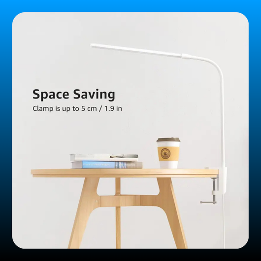Clip-On LED Desk Lamp