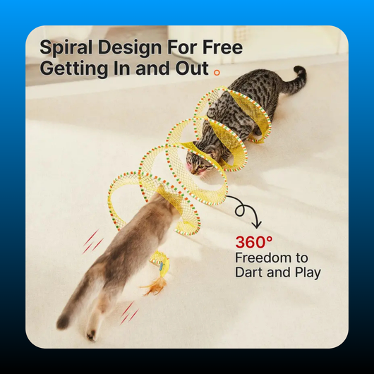Spiral Tunnel Cat Toy
