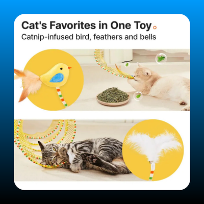 Spiral Tunnel Cat Toy