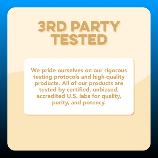 10 Single Serving Protein Stick Packs