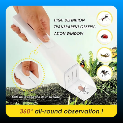Portable Insect Catcher