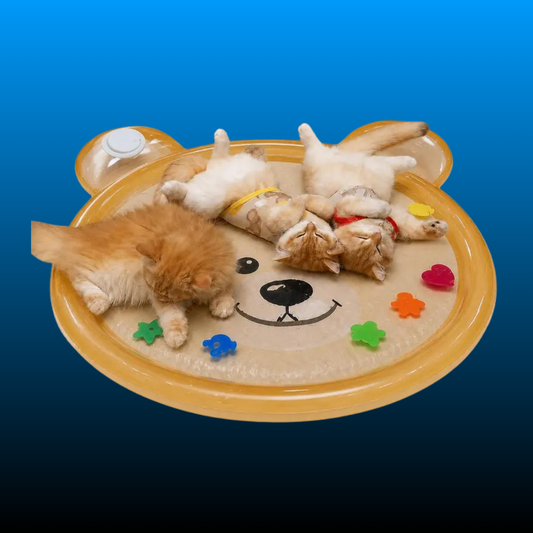Cooling Water Play Mat for Dogs & Cats (100cm)