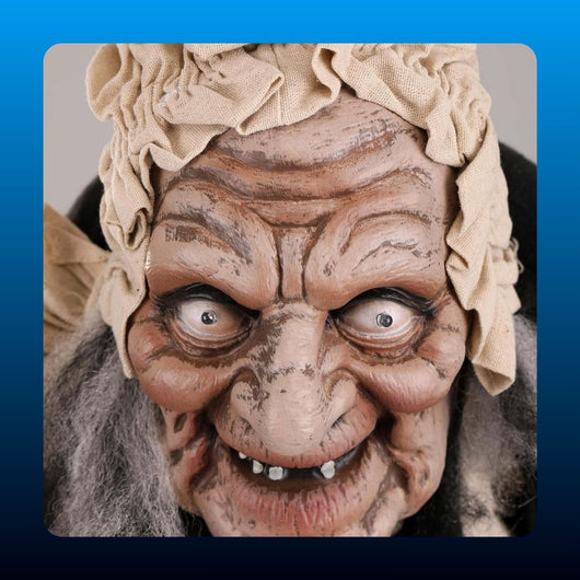 Animated Greeter Old Woman Prop