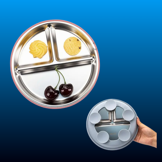 Stainless Steel Divided Plate with Silicone Base