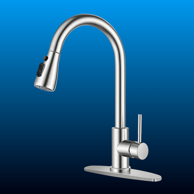 Pull-Down Kitchen Faucet with Sprayer